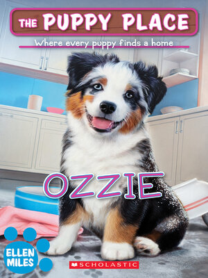 cover image of Ozzie